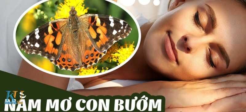 Ngủ mơ thấy bướm đánh con gì là dễ trúng ? 1 mơ thấy bướm đánh con gì