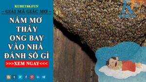 Ong Bay Vào Nhà Đánh Số Gì Và Có Điềm Báo Gì?