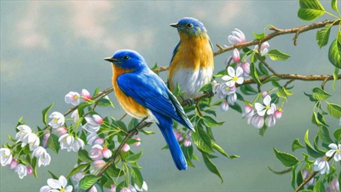 Con chim số mấy ? Mơ thấy chim đánh con gì dễ trúng ? 1 Mơ thấy chim là điềm lành hay điềm dữ?