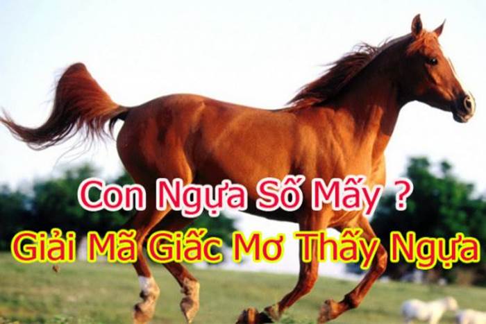 Con ngựa số mấy? Mơ thấy ngựa đánh con gì để trúng lớn? 1 Giải mã giấc mơ thấy ngựa và gợi ý con ngựa số mấy