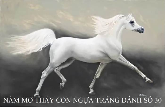Con ngựa số mấy? Mơ thấy ngựa đánh con gì để trúng lớn? 3 Chiêm bao gặp bạch mã đánh ngay lô 30 bạn nhé!