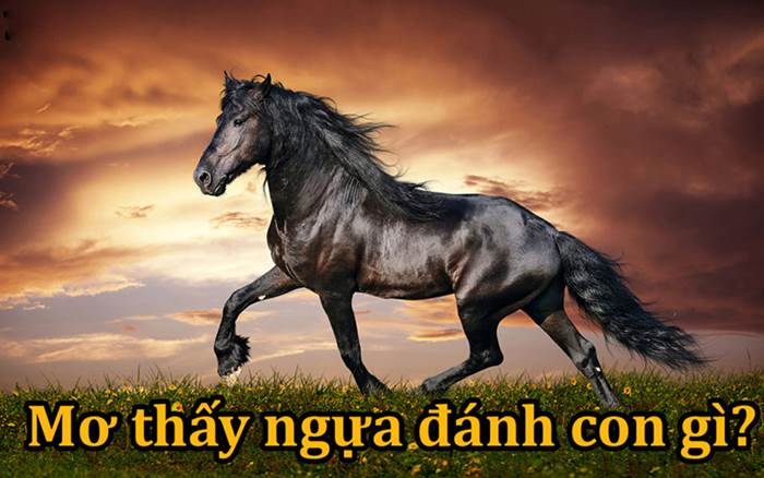 Con ngựa số mấy? Mơ thấy ngựa đánh con gì để trúng lớn? 4 Chiêm bao thấy hắc mã đánh ngay lô 73 nhé!