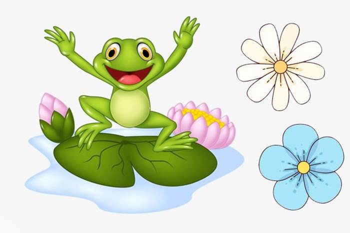 Con ếch số mấy ? Mơ thấy ếch là điềm gì ? Đánh con gì trúng lớn ? 2 Mơ thấy ếch là điềm lành hay điềm giữ