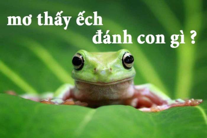 Con ếch số mấy ? Mơ thấy ếch là điềm gì ? Đánh con gì trúng lớn ? 6 Con ếch số mấy ? Mơ thấy ếch đánh gì để trúng lớn?